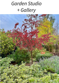 Garden Studio + Gallery