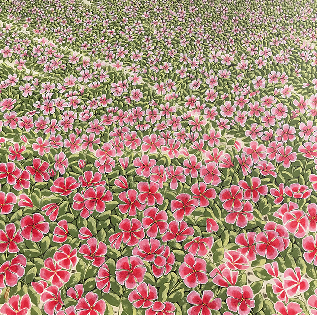 Field_of_Flowers.